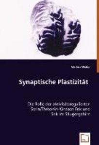 Synaptische Plastizität