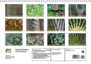 Natural Shapes and Surfaces (Wall Calendar 2015 DIN A3 Landscape)