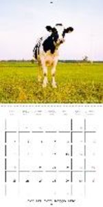 Farmyard animals (Wall Calendar 2015 300 × 300 mm Square)