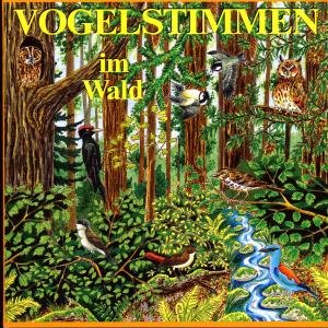 Vogelstimmen im Wald, 1 Audio-CD