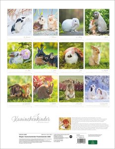 Kaninchenkinder Posterkalender 2026