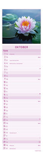 Streifenplaner Mini Zen 2023 - Streifen-Kalender 9,5x33 cm - Harmonie und Achtsamkeit - Wandplaner - Küchenkalender - Alpha Edition