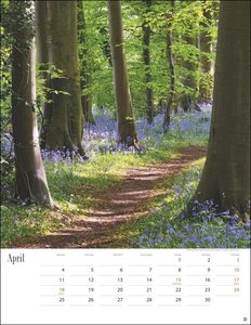 Wege zum Träumen Kalender 2022