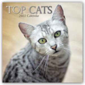 Top Cats - Top-Katzen 2022 - 16-Monatskalender