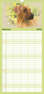 Familienplaner Rhodesian Ridgeback 2023 (Wandkalender 2023 , 21 cm x 45 cm, hoch)