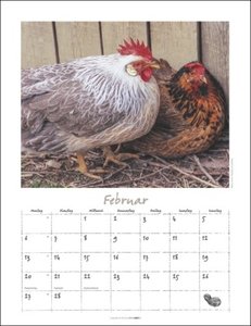 Der Hühner-Kalender 2023. Wandkalender 2023 mit Hühnerfotos des bekannten Naturfotografen Wolf-Dietmar Unterweger. Tier-Kalender 2023 mit idyllischem Bauernhofflair.