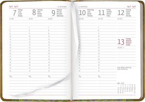 Ladytimer Klimt 2025 - Taschenkalender A6 (10,7x15,2 cm) - Weekly - 192 Seiten - Notiz-Buch - Termin-Planer - Alpha Edition