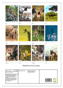Muttertiere und ihre Jungen (hochwertiger Premium Wandkalender 2024 DIN A2 hoch), Kunstdruck in Hochglanz