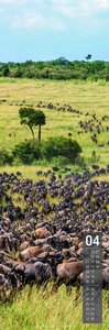 Afrika Vertikal Kalender 2026