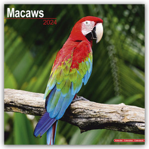 Macaws - Ara-Papageien - Aras 2024 - 16-Monatskalender