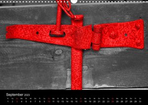 Blickfang in Rot (Wandkalender 2023 DIN A3 quer)