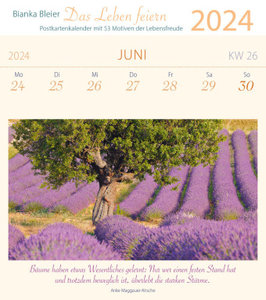 Das Leben feiern 2024 - Postkartenkalender mit 53 Motiven der Lebensfreude