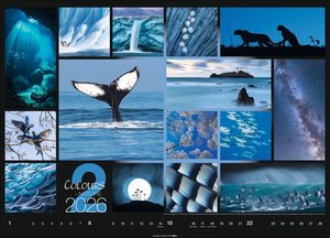 Colours of Nature Kalender 2026