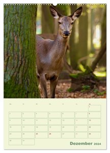 Waldmomente (hochwertiger Premium Wandkalender 2024 DIN A2 hoch), Kunstdruck in Hochglanz