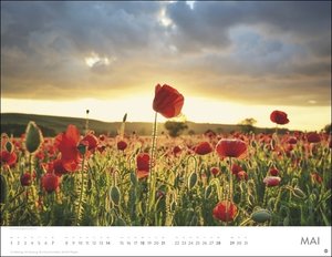 Blütenmeer Posterkalender 2023. Wandkalender mit 12 beeindruckenden Landschaftsfotos. Dekorativer Jahres-Kalender mit üppigen Blumenwiesen. 44x34 cm. Querformat