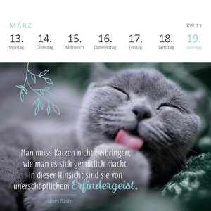 Mini-Wochenkalender Katzenglück 2023