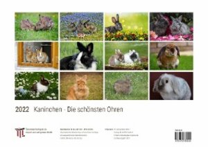 Kaninchen - Die schönsten Ohren 2022 - White Edition - Timokrates Kalender, Wandkalender, Bildkalender - DIN A3 (42 x 30 cm)