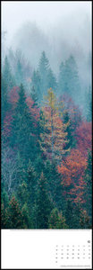 Bäume 2022 - Foto-Kalender - Wand-Kalender - King-Size - 34x98