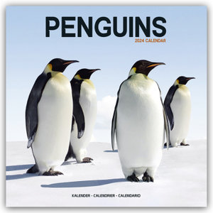 Penguins - Pinguine 2024 - 16-Monatskalender