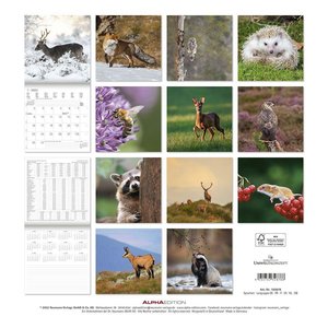 Wald und Flur 2023 - Broschürenkalender 30x30 cm (30x60 geöffnet) - Kalender mit Platz für Notizen - Forest Animals - Bildkalender - Wandkalender