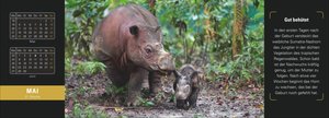 Naturparadiese Premium-Tischplaner 2026 - Wochenkalender mit 53 Fotografien