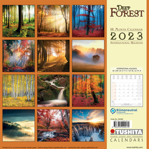 Deep Forest 2023