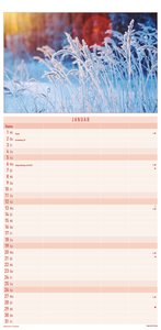 Alpha Edition - Familienplaner Inspiration 2025 Familienkalender, 22x45cm, Kalender mit 5 Spalten für Termine, 100-jährigem- und Pollenflugkalender, deutsches Kalendarium und Ferientermine DE/AT/CH
