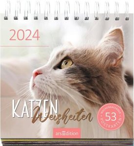 Postkartenkalender Katzenweisheiten 2024