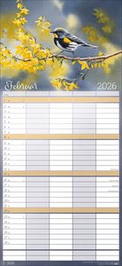 Bunte Vogelwelt Familienplaner 2026