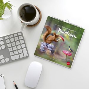 Vadim Trunov: Märchenhaftes Waldleben Postkartenkalender 2026