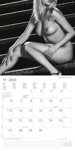 Feminine 2023 - Broschürenkalender 30x30 cm (30x60 geöffnet) - Kalender mit Platz für Notizen - Feminin - Bildkalender - Wandplaner - Erotikkalender