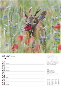 Heimische Tiere Wochenplaner 2024. Jede Woche schöne Tierfotos in einem praktischen Kalender zum Eintragen. Ein Terminkalender für die Wand mit beeindruckenden Aufnahmen und viel Platz für Notizen