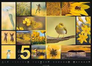 Colours of Nature Kalender 2026