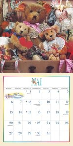 Der Teddybär 2024 - Broschürenkalender - Wandkalender - Format 30 x 30 cm