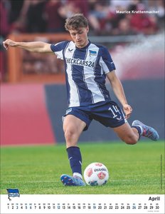 Hertha BSC Posterkalender 2026