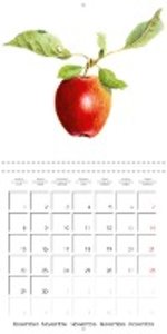 FRUITS SELECTED PAINTINGS BY YANNY PETTERS (Wall Calendar 2021 300 × 300 mm Square)