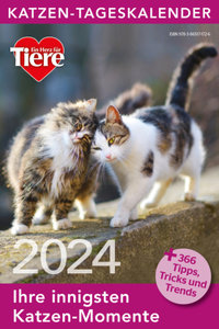 Katzen Tageskalender 2024