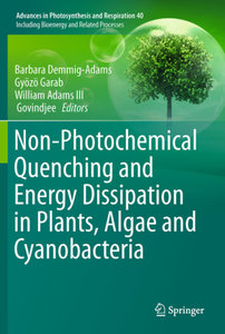 Non-Photochemical Quenching and Energy Dissipation in Plants, Al