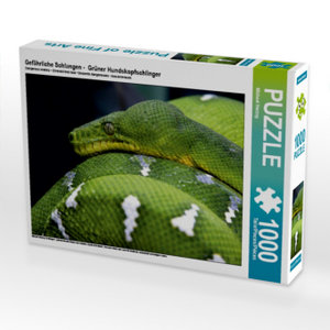CALVENDO Puzzle Gefährliche Schlangen -  Grüner Hundskopfschlinger 1000 Teile Puzzle quer