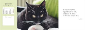 Katzen Premium-Tischplaner 2026 - Der literarische Wochenkalender mit Zitaten