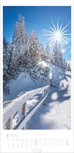 Im Wald Kalender 2026