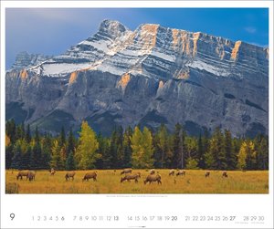 Kanada Kalender 2026 - Der Ruf der Wildnis