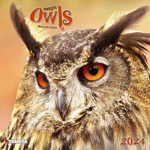 Magic Owls 2024