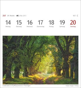 Lichtblicke Postkartenkalender 2025 - Wochenkalender mit 53 Postkarten