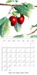 FRUITS SELECTED PAINTINGS BY YANNY PETTERS (Wall Calendar 2021 300 × 300 mm Square)