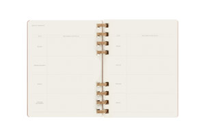 Moleskine 12 Monats Life Kalender Mit Spiralbindung 2023 XL, Wochen-Monatskalender, Hard Cover, Crush Almond