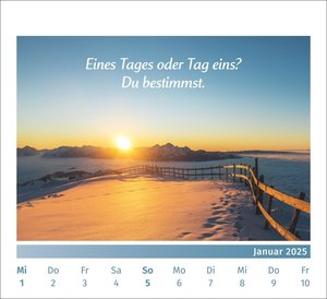 PAL - Der Lebensfreude Tischkalender 2025