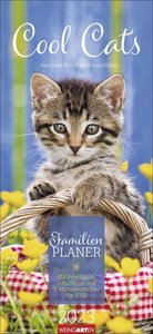 Cool Cats Familienplaner 2023. Großer Foto-Terminkalender mit 5 Spalten für Familien. Schöner Familien-Wandkalender 2023 mit süßen Katzen-Fotos. 22x48 cm
