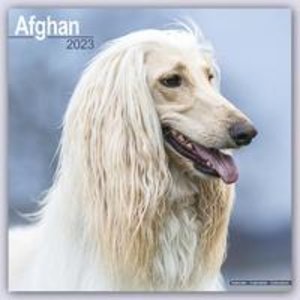 Afghan - Afghanen 2023
