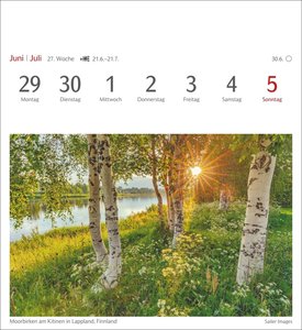 Bäume Postkartenkalender 2026